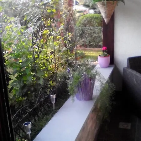 Apartment Poropat