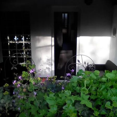 Apartment Poropat